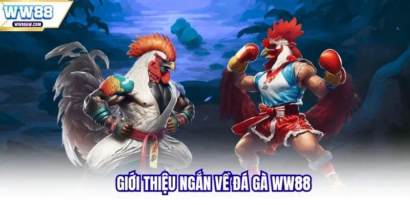 Giới thiệu ngắn về đá gà WW88