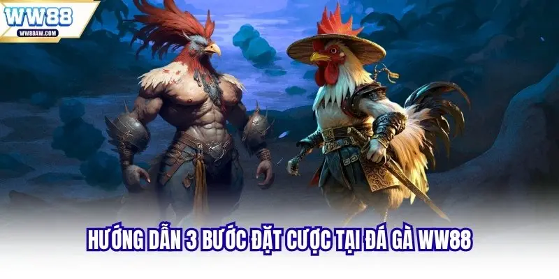Hướng dẫn 3 bước đặt cược tại đá gà WW88